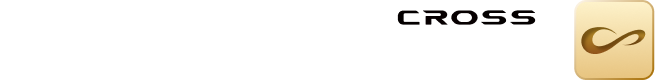 纳米01Cross logo